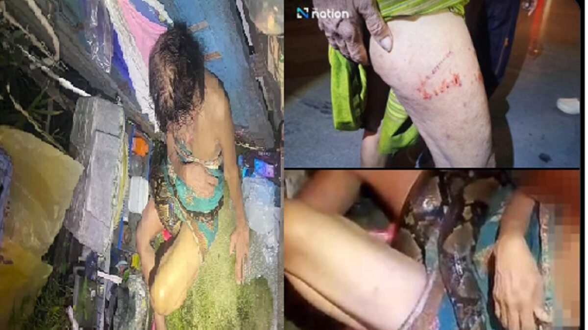 Python grabs Thai woman in her kitchen