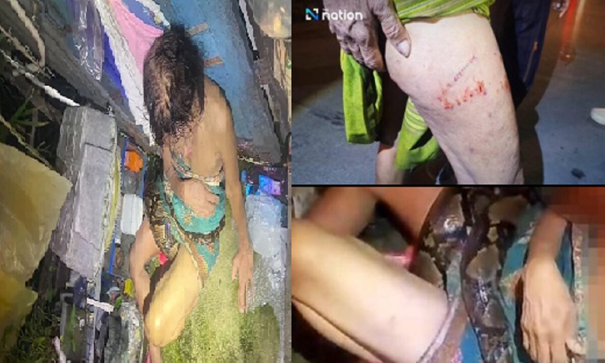 Python grabs Thai woman in her kitchen