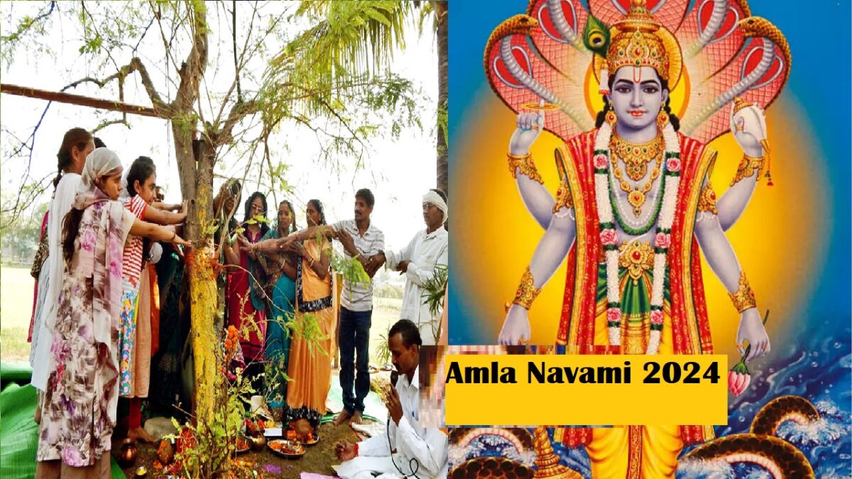 Amla Navami 2024