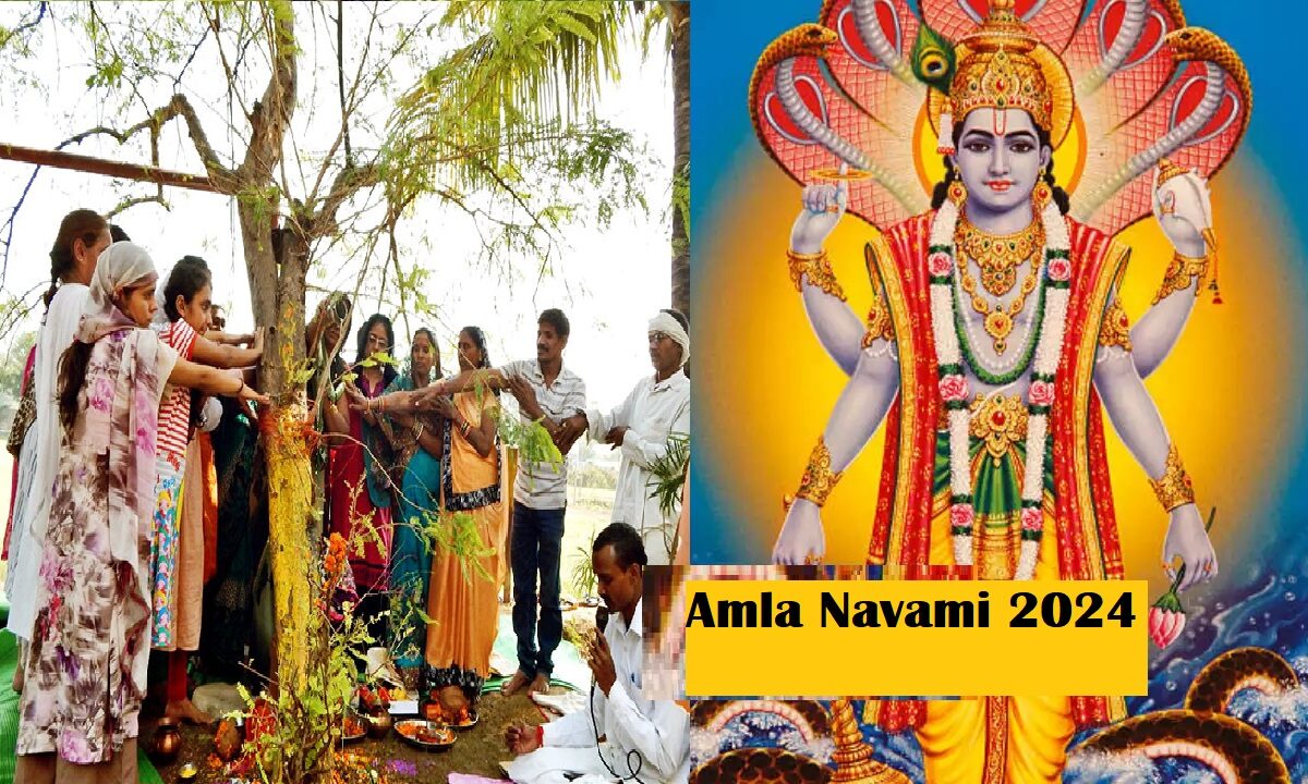 Amla Navami 2024