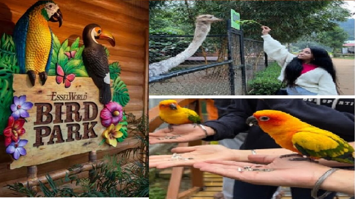 Paws Birds Park