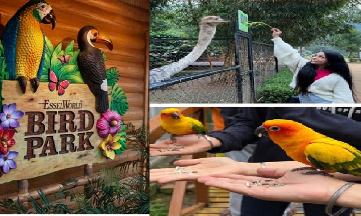 Paws Birds Park