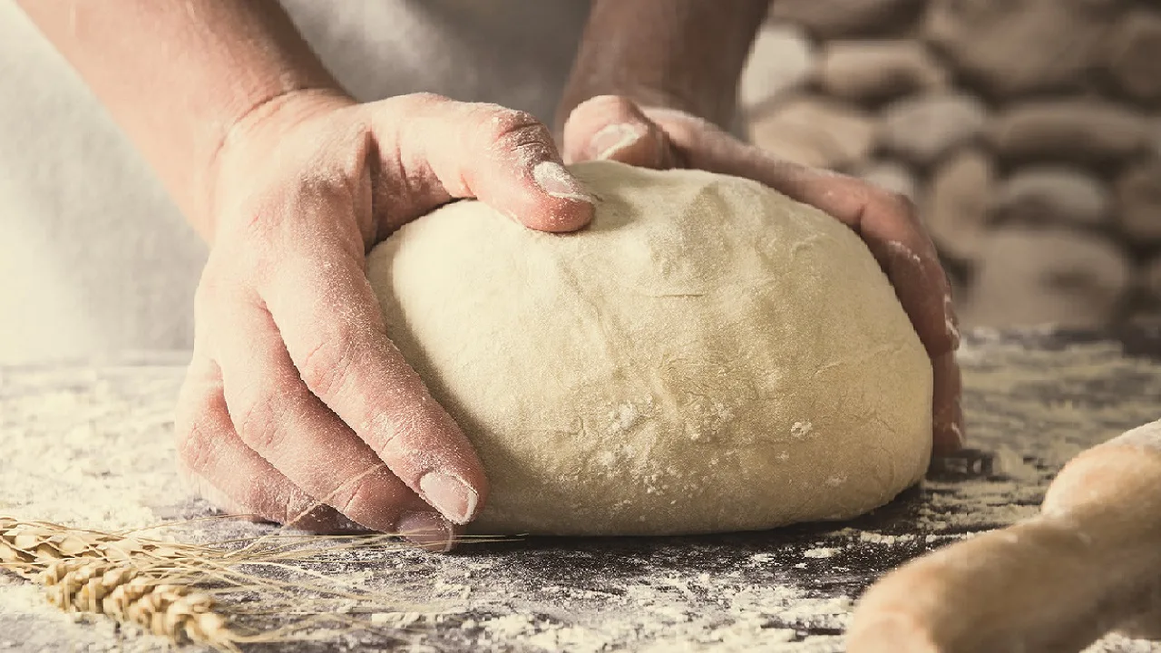 kneaded dough