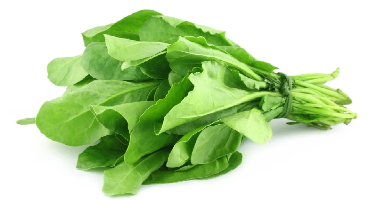 spinach benefits