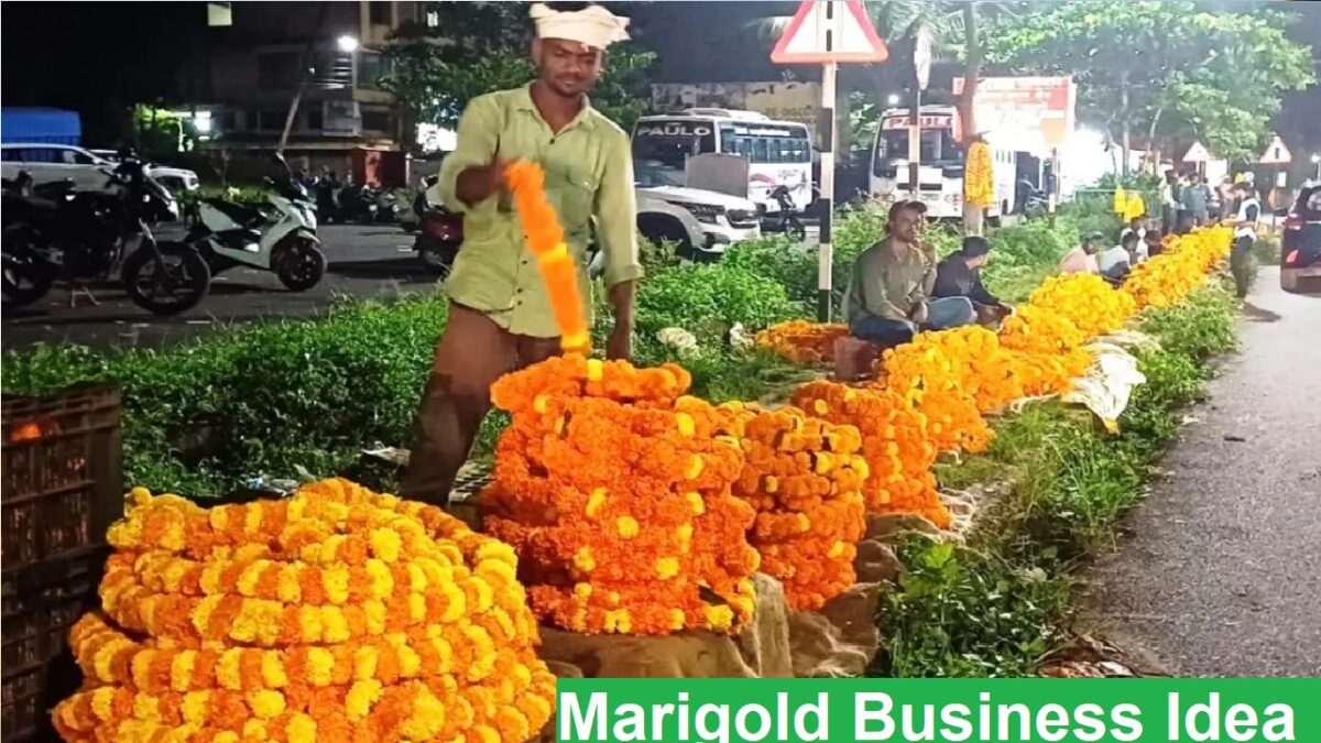 Marigold Business Idea