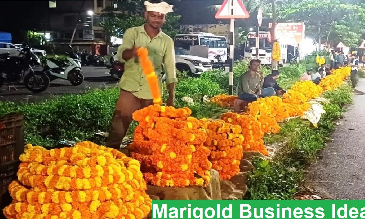 Marigold Business Idea