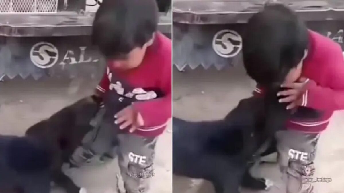 Kid bites Dog Video Viral