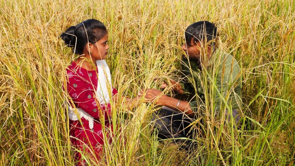 Video: खुले खेत में रोमांस कर रही अभिनेत्री, गावों वालों ने …